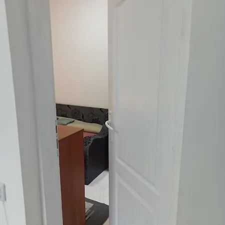 Beograd, Oaza Palilula, 2 Borca