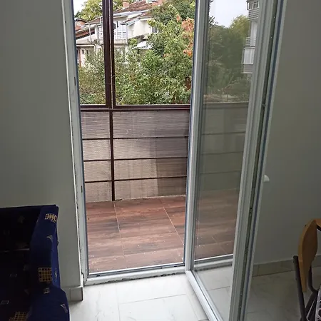 Beograd, Oaza Palilula, 2 Borca